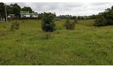 SE VENDE LOTE -TERRENO EN CIRCASIA