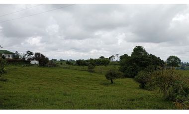 SE VENDE LOTE -TERRENO EN CIRCASIA