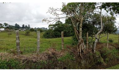 SE VENDE LOTE -TERRENO EN CIRCASIA