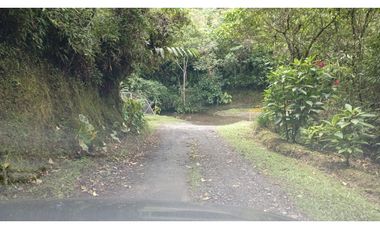 SE VENDE LOTE -TERRENO EN CIRCASIA