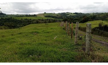 SE VENDE LOTE -TERRENO EN CIRCASIA