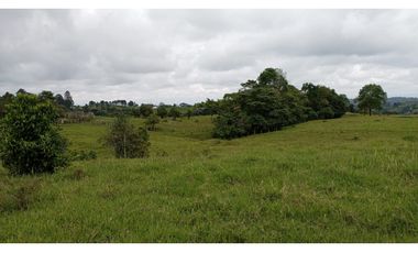 SE VENDE LOTE -TERRENO EN CIRCASIA