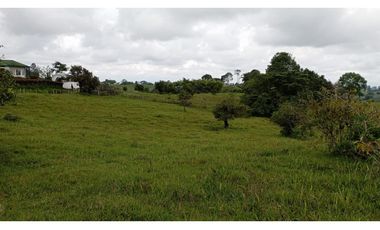 SE VENDE LOTE -TERRENO EN CIRCASIA