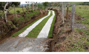 SE VENDE LOTE -TERRENO EN CIRCASIA