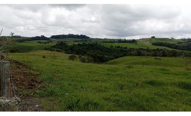 SE VENDE LOTE -TERRENO EN CIRCASIA