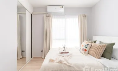 1 Bedroom for sale at Plum Condo Central Station
