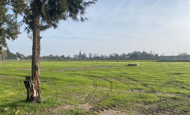 Parcela en Venta en Carretera Sur Ruta 78 Km. 35.7