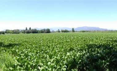 Parcela en Venta en Panimávida PC 29, Colbun, Linares