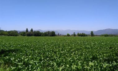 Parcela en Venta en Panimávida PC 29, Colbun, Linares