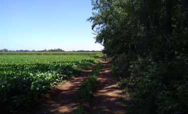 Parcela en Venta en Panimávida PC 29, Colbun, Linares