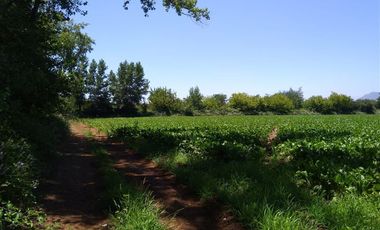 Parcela en Venta en Panimávida PC 29, Colbun, Linares