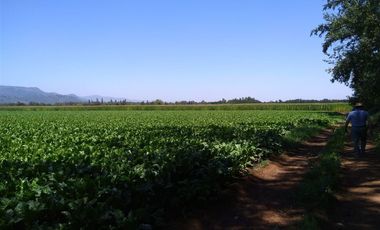 Parcela en Venta en Panimávida PC 29, Colbun, Linares