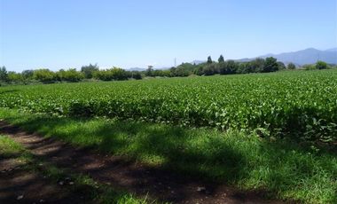 Parcela en Venta en Panimávida PC 29, Colbun, Linares