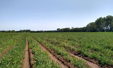 Parcela en Venta en Panimávida PC 29, Colbun, Linares