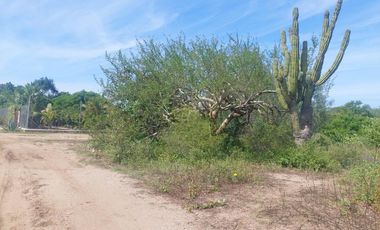 LOTE EL NOVILLO, SAN PEDRO, 3000MTS, IDEAL PARA TU CASA DE CAMPO O PEQUEÑA GRANJA