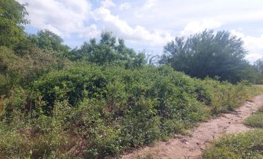 LOTE EL NOVILLO, SAN PEDRO, 3000MTS, IDEAL PARA TU CASA DE CAMPO O PEQUEÑA GRANJA