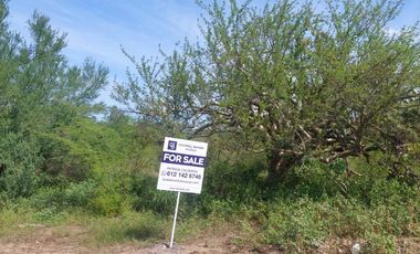 LOTE EL NOVILLO, SAN PEDRO, 3000MTS, IDEAL PARA TU CASA DE CAMPO O PEQUEÑA GRANJA