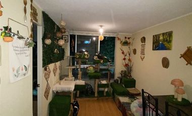 Departamento en Venta en Metro Irarrázaval, Edificio Alto Vicuña I