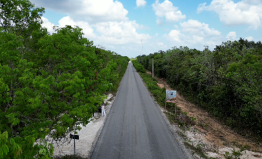 TERRENOS DE 90,000 CADA UNO EN VENTA EN RUTA DE LOS CENOTES EN PUERTO MORELOS QUINTANA ROO COLDWELL BANKER