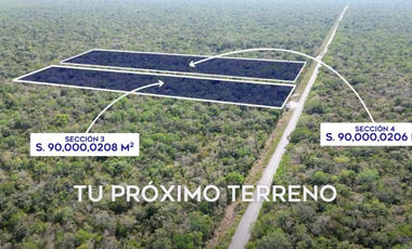TERRENOS DE 90,000 CADA UNO EN VENTA EN RUTA DE LOS CENOTES EN PUERTO MORELOS QUINTANA ROO COLDWELL BANKER