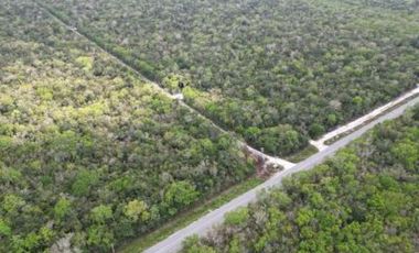 TERRENOS DE 90,000 CADA UNO EN VENTA EN RUTA DE LOS CENOTES EN PUERTO MORELOS QUINTANA ROO COLDWELL BANKER