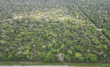TERRENOS DE 90,000 CADA UNO EN VENTA EN RUTA DE LOS CENOTES EN PUERTO MORELOS QUINTANA ROO COLDWELL BANKER