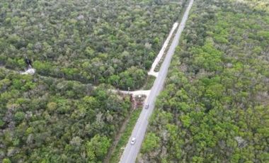 TERRENOS DE 90,000 CADA UNO EN VENTA EN RUTA DE LOS CENOTES EN PUERTO MORELOS QUINTANA ROO COLDWELL BANKER
