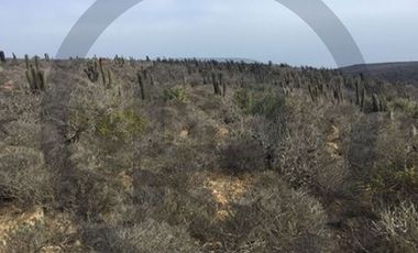 Sitio en Venta en Chacayes, Machalí