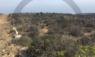 Sitio en Venta en Chacayes, Machalí