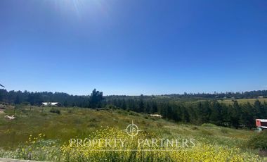 Parcela en Cerro Ñianco, San Juan.