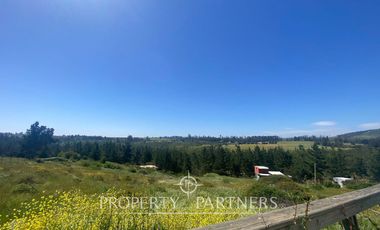 Parcela en Cerro Ñianco, San Juan.