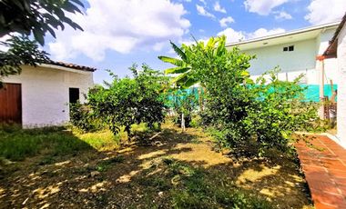 ARRIENDO de FINCAS en MUNICIPIO  DE CANDELARIA