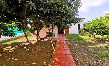 ARRIENDO de FINCAS en MUNICIPIO  DE CANDELARIA