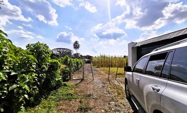 ARRIENDO de FINCAS en MUNICIPIO  DE CANDELARIA