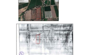 PARCELA 4,5 HÁ CATEMU, AGRÍCOLA FORESTAL/PTA SOLAR
