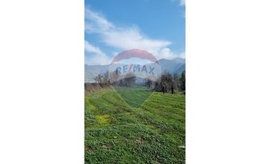 PARCELA 4,5 HÁ CATEMU, AGRÍCOLA FORESTAL/PTA SOLAR