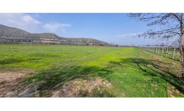 PARCELA 4,5 HÁ CATEMU, AGRÍCOLA FORESTAL/PTA SOLAR