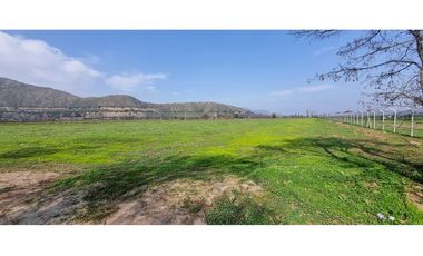 PARCELA 4,5 HÁ CATEMU, AGRÍCOLA FORESTAL/PTA SOLAR