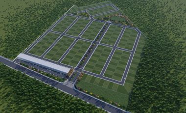 Terreno 450m2 sobre carretera Mérida - Chicxulub