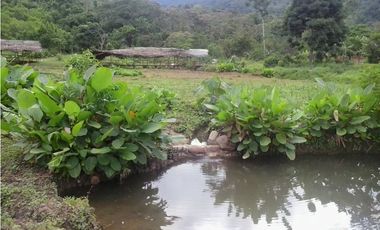 PROPIEDADES EN LINDO CONDOMINIO DE CAMPO