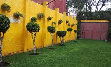 Terreno con jardín, en Paseos de Taxqueña, Coyoacán, CDMX.