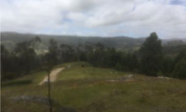 Vendo 7 Hermosos Lotes en Condominio Vereda el Hato k 7 vía la Calera
