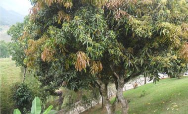 Casa Finca Vereda La Salada C.153820