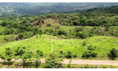 VENTA DE HERMOSA FINCA CERCA DE CORONADO, LIBERTAD Y BELLEZA NATURAL