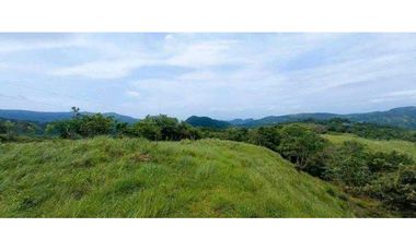 VENTA DE HERMOSA FINCA CERCA DE CORONADO, LIBERTAD Y BELLEZA NATURAL