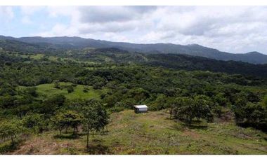 VENTA DE HERMOSA FINCA CERCA DE CORONADO, LIBERTAD Y BELLEZA NATURAL