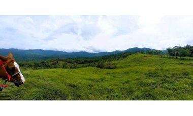 VENTA DE HERMOSA FINCA CERCA DE CORONADO, LIBERTAD Y BELLEZA NATURAL