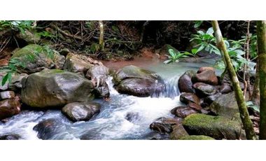 VENTA DE HERMOSA FINCA CERCA DE CORONADO, LIBERTAD Y BELLEZA NATURAL