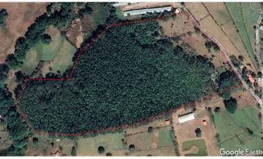 Venta de Finca en Bejuco de Chame, Panamá Oeste