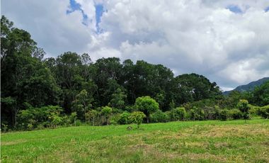 Venta de Finca en Bejuco de Chame, Panamá Oeste